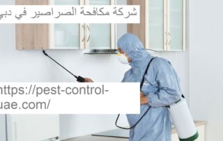 شركة مكافحة الصراصير في دبي