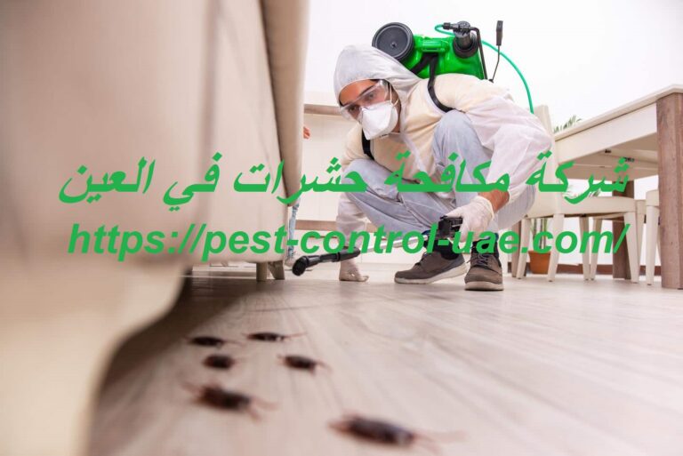شركة مكافحة حشرات في العين |0569609400| رش الحشرات