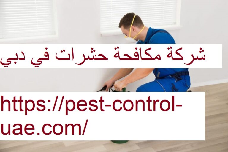 شركة مكافحة حشرات في دبي |0561341109| رش حشرات