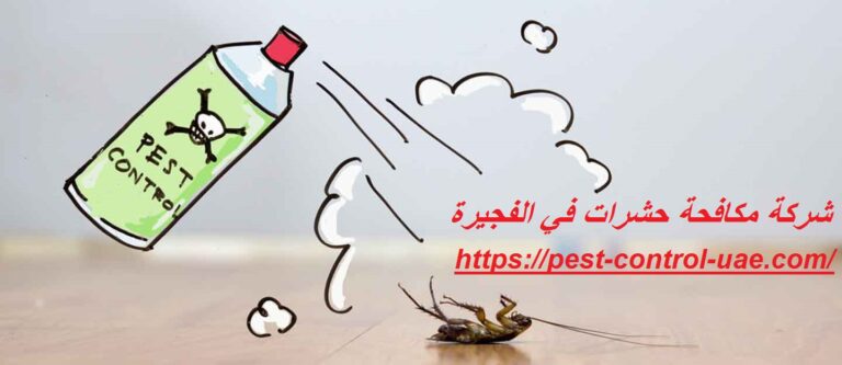 شركة مكافحة حشرات في الفجيرة |0561341109| رش مبيدات