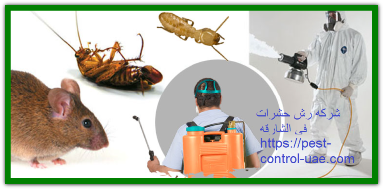 شركه رش حشرات في الشارقه |0569609400| رش مبيدات